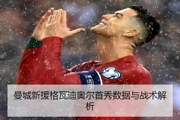 man-cheng-xin-yuan-ge-wa-di-ao-er-shou-xiu-shu-ju-yu-zhan-shu-jie-xi-2-277.jpg